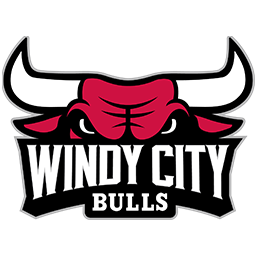 科利奇帕克天鹰